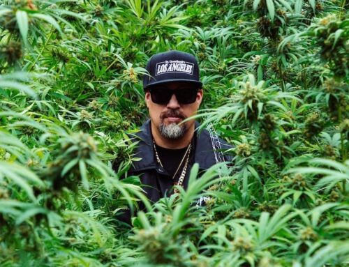 Inside The New Cannabis Power Play: Why B-Real, Mike Tyson, Method Man Are Betting On Seed