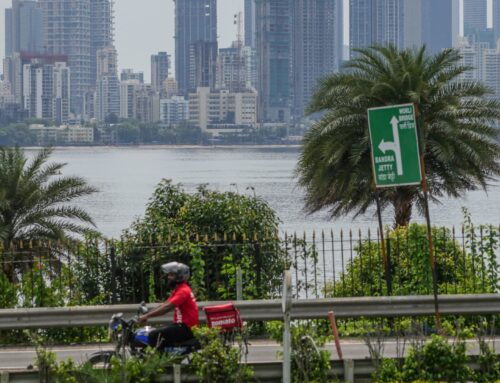 Fund managers are pouring money into emerging markets. Here’s where investors see opportun