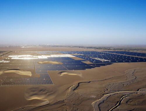 China Solar Additions Surge to Record in May Ahead of Deadline