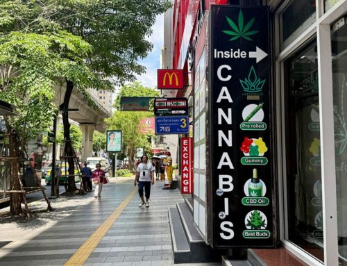 Thai Cannabis Industry Thrown Into Chaos as Government Aims to Recriminalize Weed