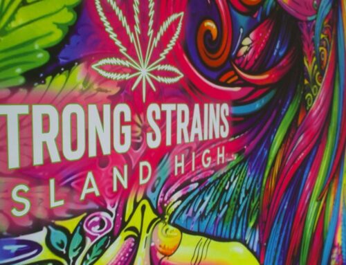 Legal fight over Strong Strains cannabis dispensary