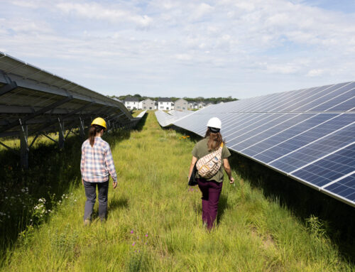 Many Hoped Senate Republicans Would Save Clean Energy. They Mostly Didn’t.