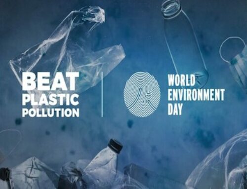 World Environment Day 2025: History, theme, significance and host country
