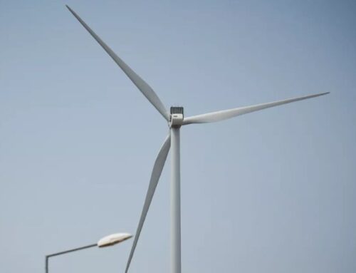 Georgian government plans to build green energy facilities