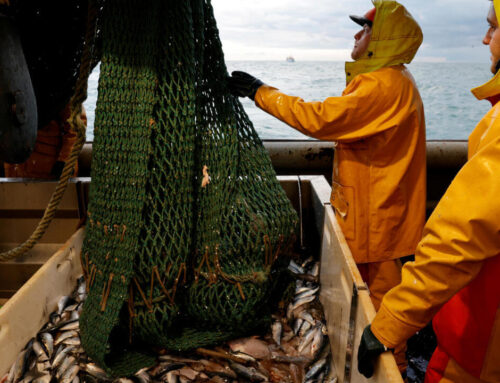 French NGOs slam ‘lack of ambition’ after Macron’s bottom trawling announcement