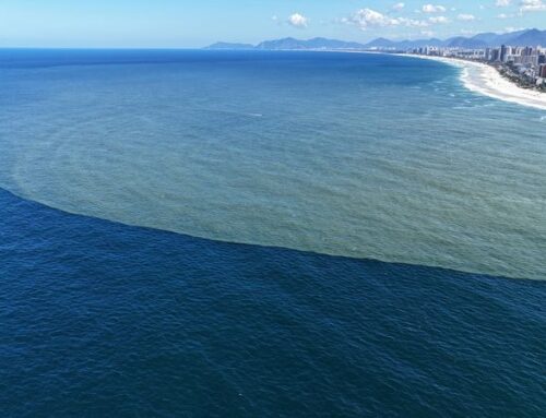 Latin America’s development bank CAF doubles investment target for marine ecosystems
