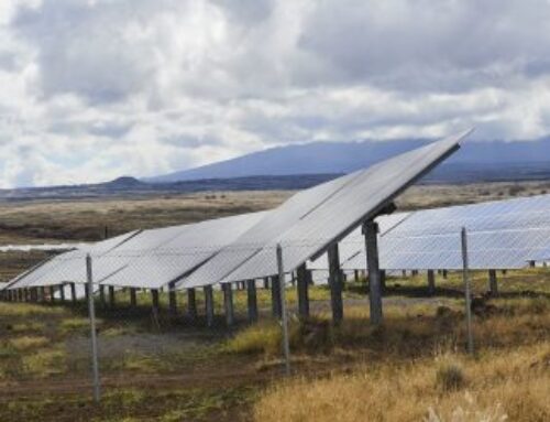 Community Solar Farms Meant To Save Money Fail To Gain Traction In Hawaiʻi