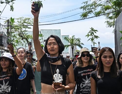 Thailand moves to recriminalize cannabis, shaking $1 billion industry