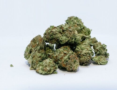 Cannabis use reaches a new high among older adults