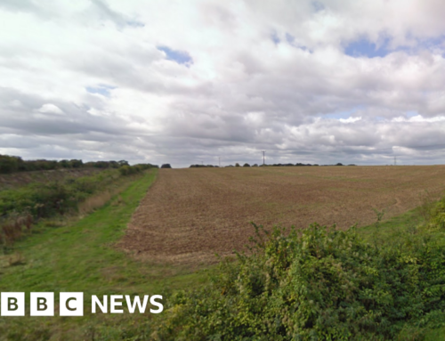 Solar farm for St Mary Bourne rejected by Basingstoke Council