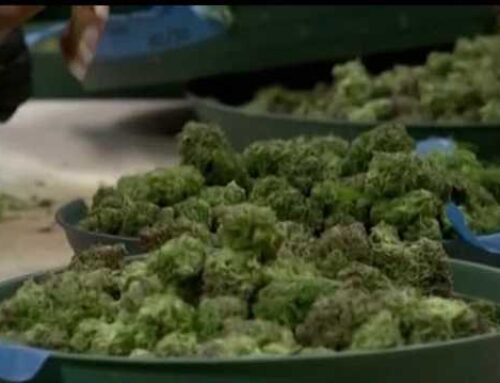 First ever Medical Cannabis Commission meeting set for June 9