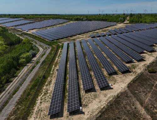 Clean energy investments on course to strike record in 2025: IEA