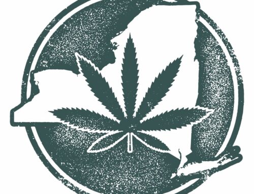 New York Office of Cannabis Management Announces Appointment of New Leaders