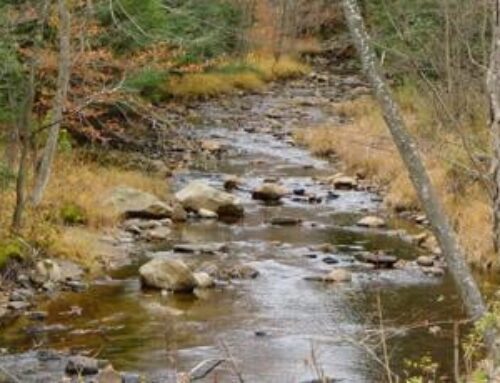 Worries fuel push to elevate water woes on policy agenda
