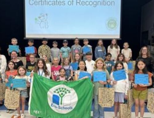 North Star Elementary recognized for commitment to sustainability, environmental education