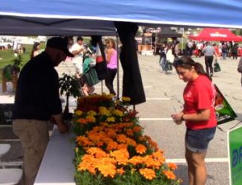 VIDEO | A celebration of World Environment Day at the Delaware Memorial Bridge