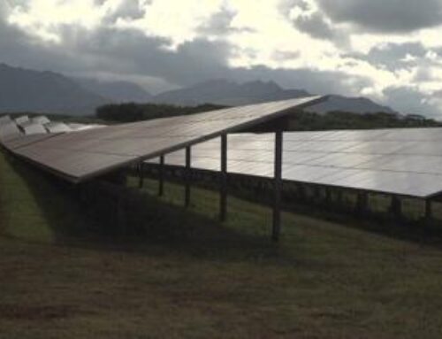Kuleana | Kauai’s energy co-op drives sustainable future with solar and biofuels