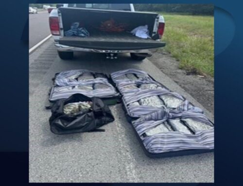 ISP: Troop 10 officers seize more than 85 pounds of cannabis during traffic stop