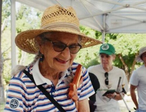 Solano County champions World Environment Day  with cleanup, planting efforts