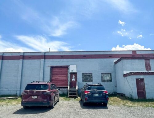 Weed heist: Teens burglarize cannabis shop