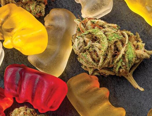 Into the Weeds: The Tennessee Cannabinoid Garden Guide