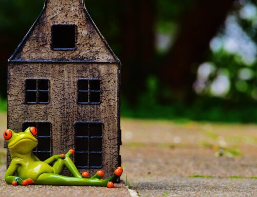 How Changing My Environment Changed My Identity