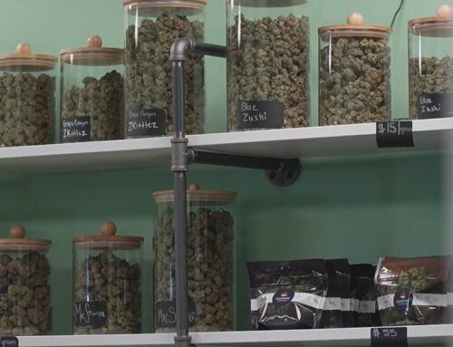 Questions remain after Minnesota’s first recreational cannabis license lottery