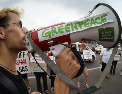 Greenpeace in court: Romania takes aim at environmental NGOs