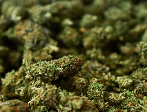 Cannabis products recalled across NY: See the list