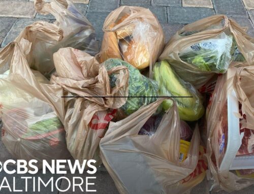 New study finds plastic bag policies are helping the environment