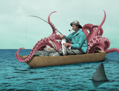 Octopus, Orcas and Oysters: how the UK’s marine environment is changing