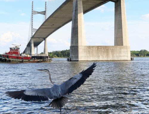 Playing for keeps: St. Johns Riverkeeper has been watching the waters for 25 years
