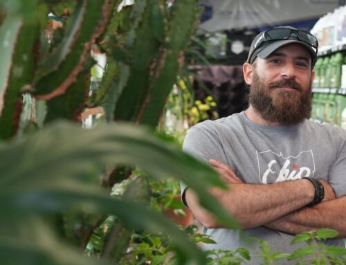 Stephen Harrold has grown cannabis and knows that deer are attracted to it