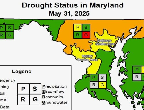 Western Maryland no longer under state drought watch