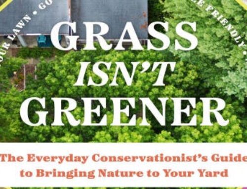 ‘Grass Isn’t Greener’ is an urgent call for environment