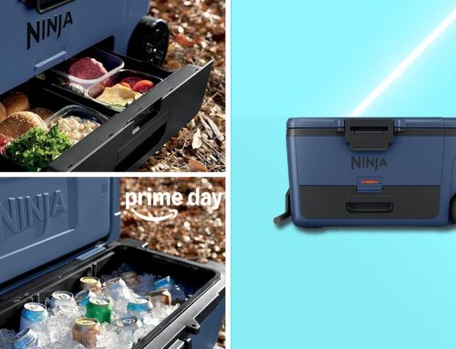 The Ninja FrostVault cooler is 24% off and I think I need it 🛍️