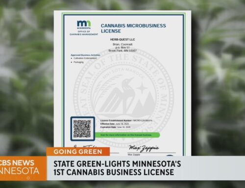 Minnesota hands out 1st cannabis business license