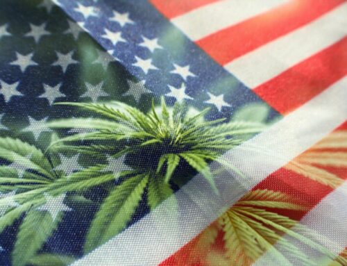 States Lead the Way on Bullish Cannabis Reforms