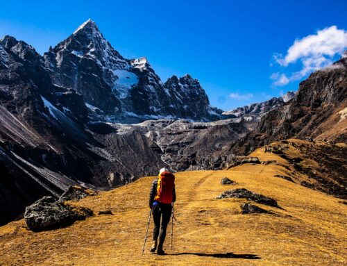 Home on the (BTC) Range