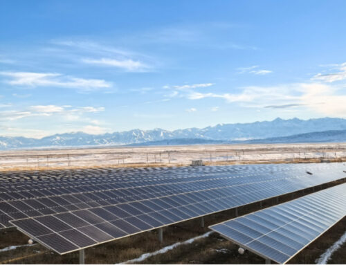 China, Central Asia Expand Green Energy Cooperation Under Belt and Road Initiative
