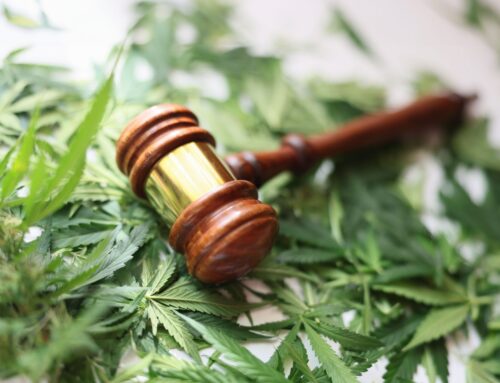 Medical Cannabis Telehealth Bill Vetoed by Hawaii Governor Josh Green