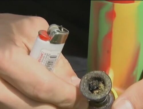 Study: cannabis could affect the blood, heart