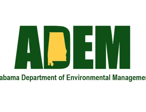 Department of Environmental Management appoints new director