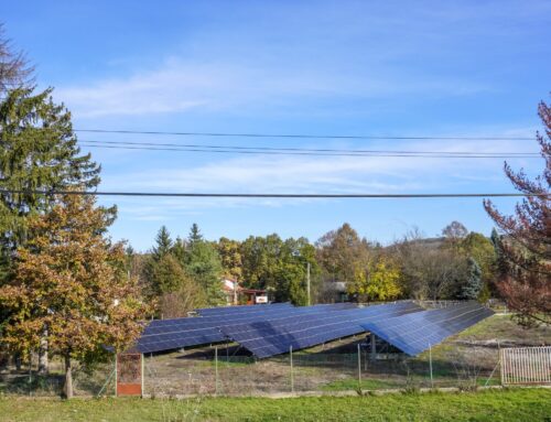 Hungarians Prioritize Renewable Energy, MOL Survey Finds