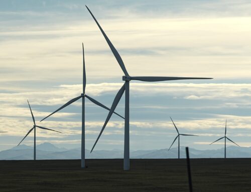 Declines in public support for green and renewable energy – AP-NORC