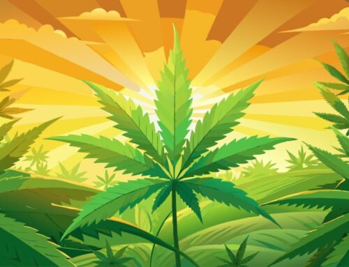 Why Cannabis Pairs Well with Travel