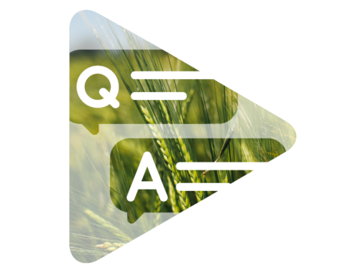 Agri-PV in the Spotlight This Growing Season