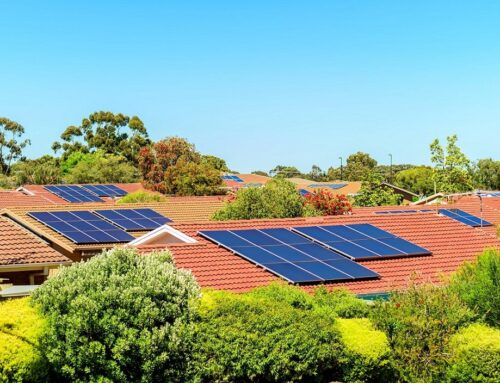 Renewables supply 100% of South Australia’s electricity demand for almost a third of 2024