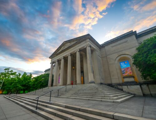 Top cultural attractions in Baltimore celebrate World Environment Day