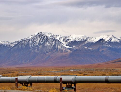 Advocates slam startup’s proposal to build Bitcoin mine in controversial location: ‘It jus